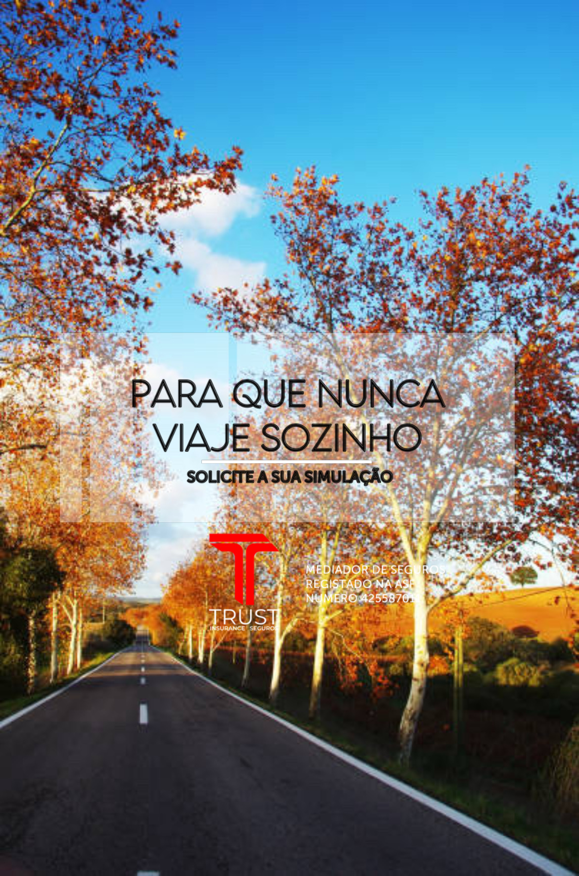 auto insurance, seguro automovel, trust, simule com a trust, investments, investimentos em seguros portugal, algarve