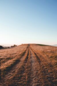 land for sale, Algarve, Free quotes, Trust Real Estate, Investimentos imobiliarios