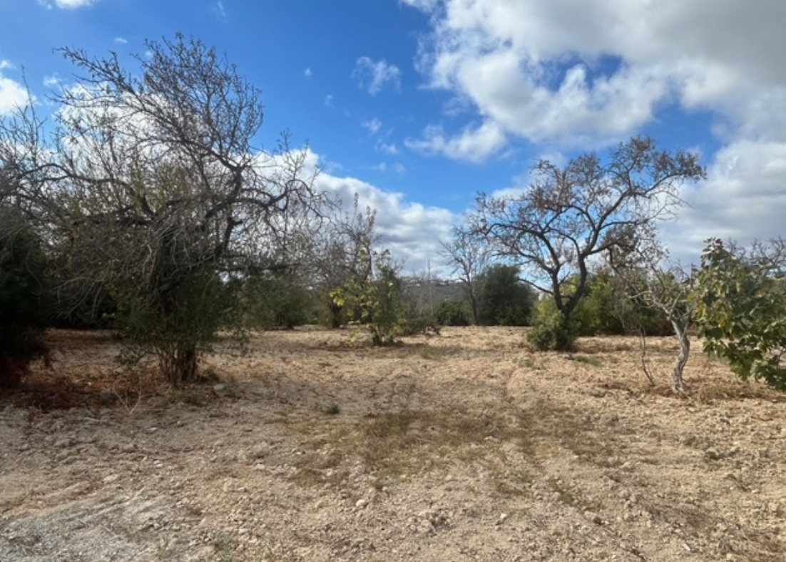 terreno para construçao de moradias, trust imobiliaria. invest in real estate, land for sale, algarve