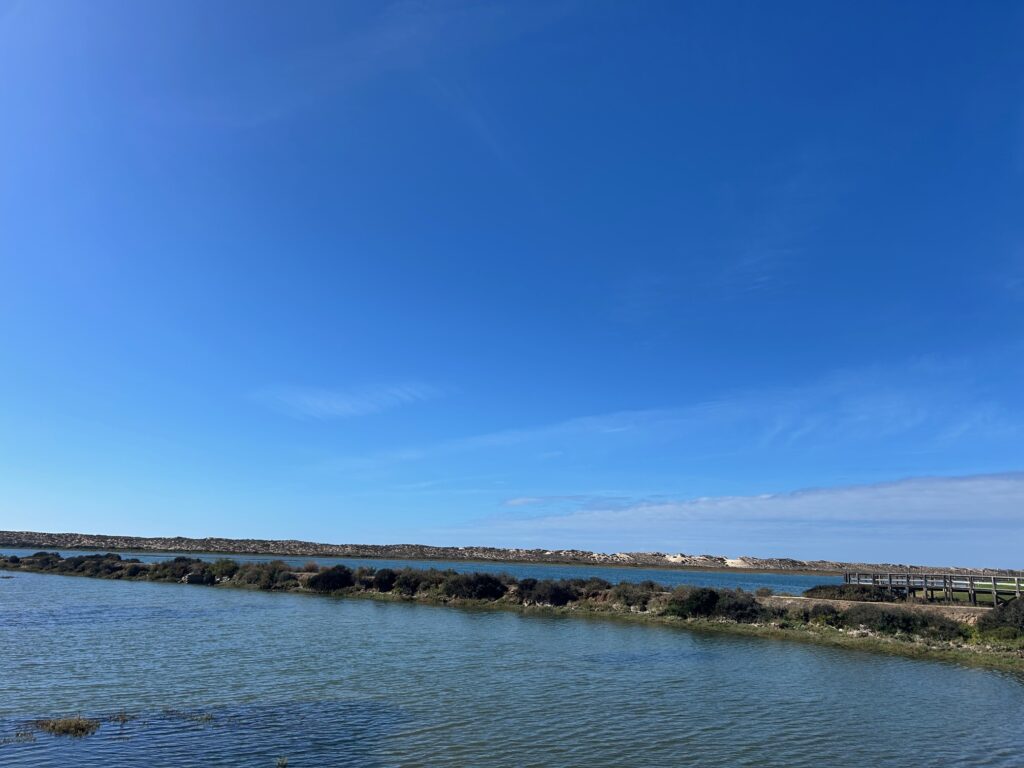 A Trust Imobiliária procura para os seus clientes apartamentos, moradias e Loulé para construção no Concelho de Loulé