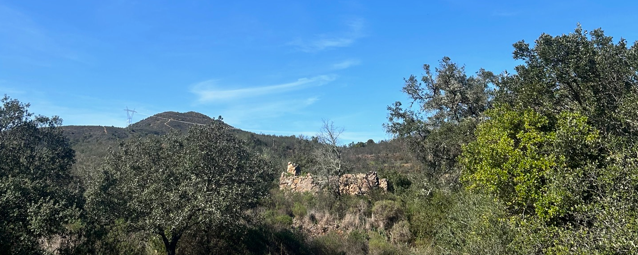 erreno com aproximadamente 5000m2 constituído para vegetações e árvores de sequeiro. O terreno dispõe de um número urbano através de uma ruína com 30m2. O terreno não dispõe de saneamento básico e abastecimento de ação, pelo que o desenvolvimento do projeto de reabilitação e ampliação da ruína terá de obedecer aos parâmetros urbanística do concelho. Os acesso são excelentes por estrada de asfalto. A propriedade situa se a 10 minutos da cidade de Loulé, 20 minutos das praias e do Aeroporto Internacional e Faro. Se deseja visitar entre em contacto com a Trust Imobiliária. Property to build a house in Portugal, for sale