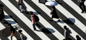 Quando vai contratar um seguro, tenha em atenção as coberturas, capitais e exclusões. O prémio está sempre correlacionado com as variantes acima referidas. Tome atenção e escolha um mediador que o ajude a identificar as reais necessidades para si, para a sua família e para a sua empresa. Trust Seguros, Vida, nao vida, empresas, empresários