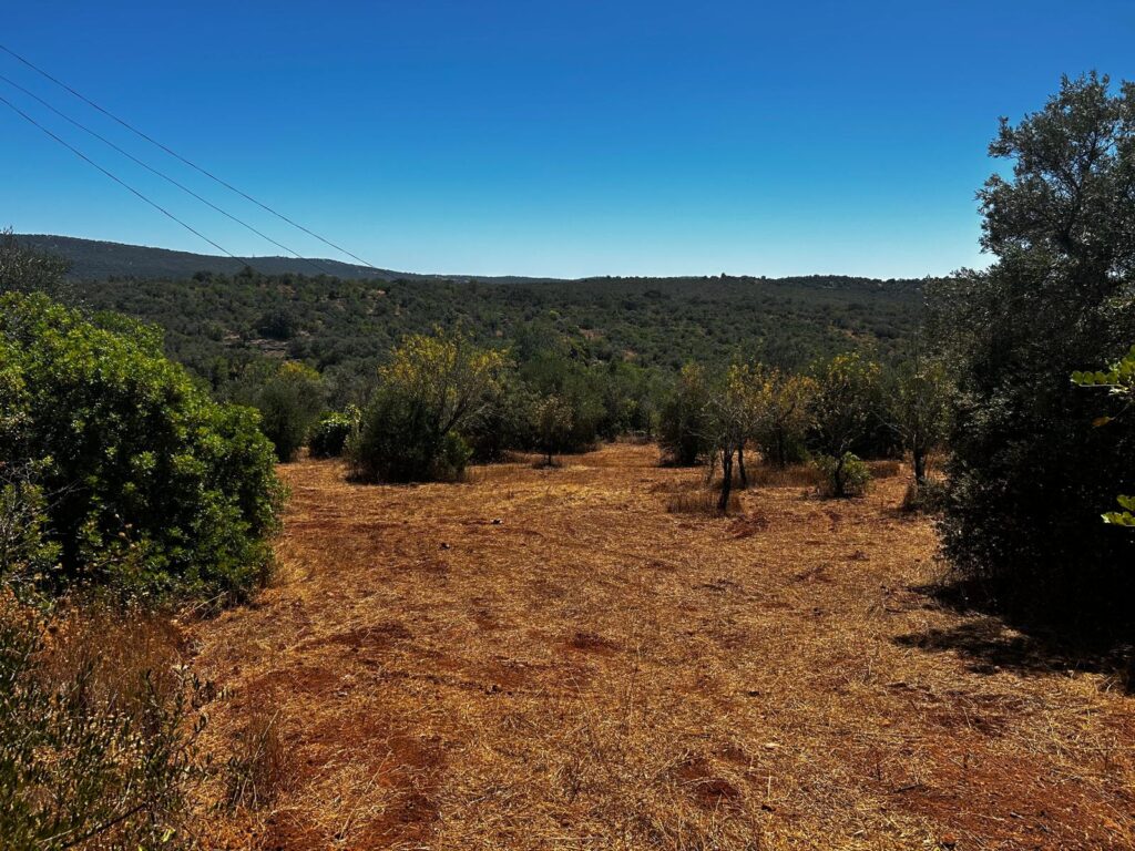 A imobiliaria Trust vende terreno com projeto para moradia unifamiliar em Loulé